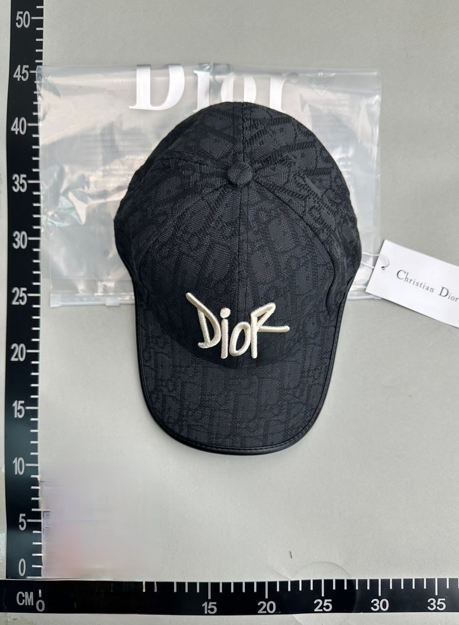  Dior hat
