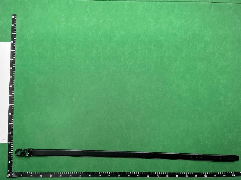  Ferragamo Belt（40+ Styles）